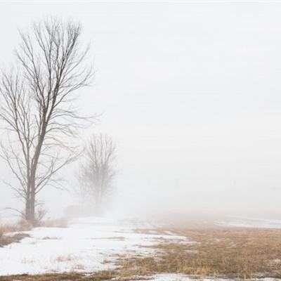 pg麻将胡了下载入口app下载